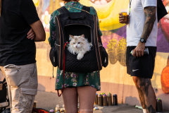 DSC02652