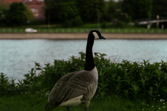 DSC04308